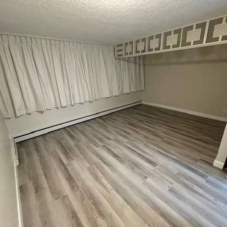 Large Studio for rent - Photo 1