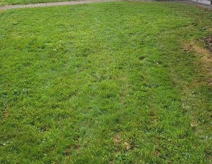 EG-Wohnung 51m² in Gladbeck-Brauck - Foto 1