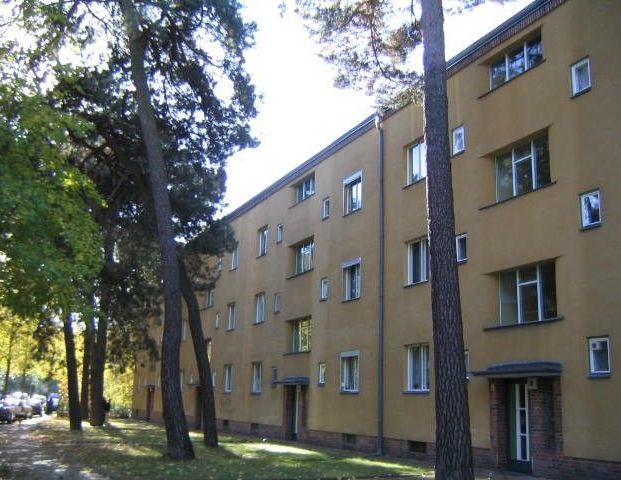 Gut geschnittene 2-Zimmer Wohnung - Foto 1