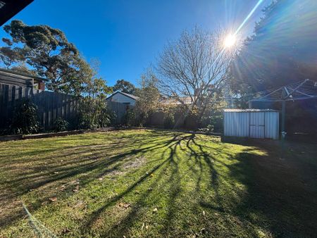 Charming Three-Bedroom House with a Huge Shed! - Photo 3