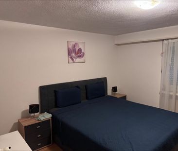 Comfortable 2.5-room apartment in a great location - Photo 3