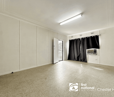 111 Waldron Road, Chester Hill, NSW 2162 - Photo 6