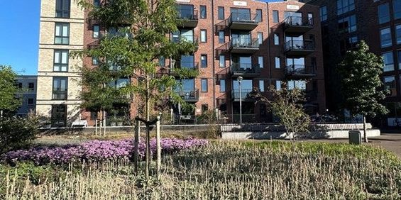 Te huur: Appartement Spirituslaan in Bergen op Zoom - Foto 3