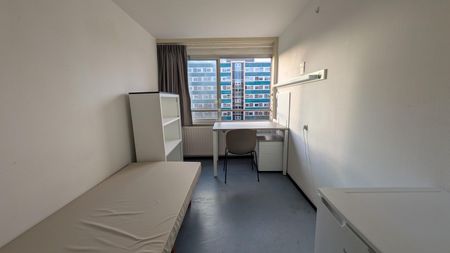 Home Vermeylen - Stalhof 6 - Photo 4