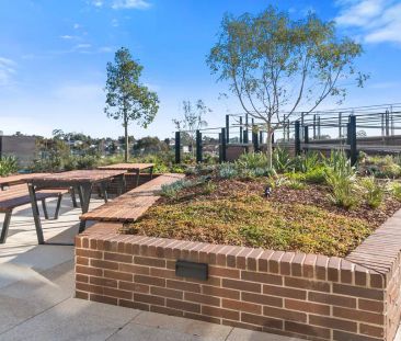 “Luxury Living Apartment” - Photo 4