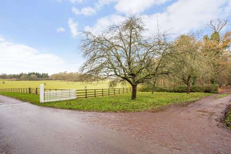 A delightful detached cottage on a private country estate. - Photo 5