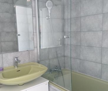 Type 3 traversant vue dégagée - Photo 3