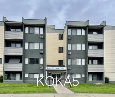 (KOKA5) Pet Friendly Unit Available In Beautiful - Photo 1