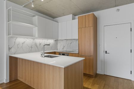 Apartment for rent, Montréal (Ville-Marie) - Photo 3