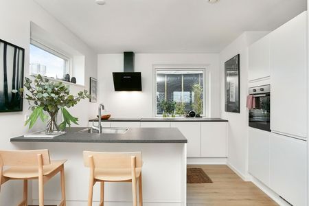 Remmerslund Skovby 66 - Foto 3