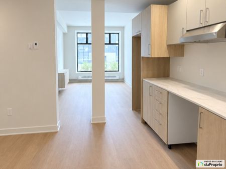 205-2020, rue Crescent, Ville-Marie (Centre-Ville et Vieux-Montréal) à louer - Photo 3