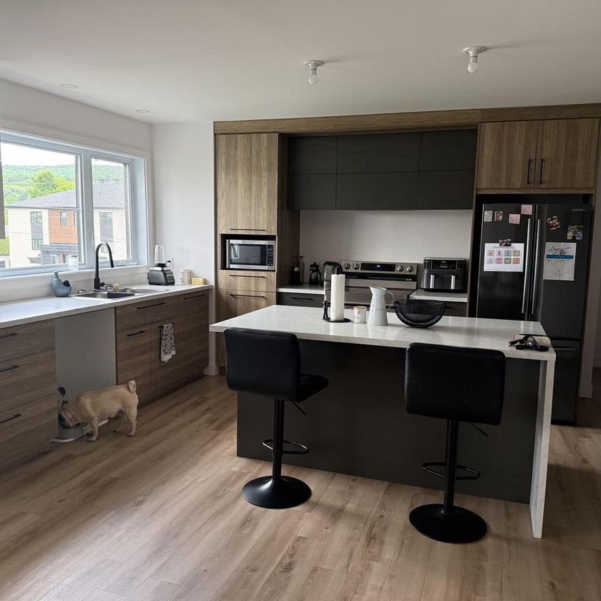 Victoriaville – Spacieux appartement 4 1/2 à louer mois d’août GRATUIT!!! - Photo 1