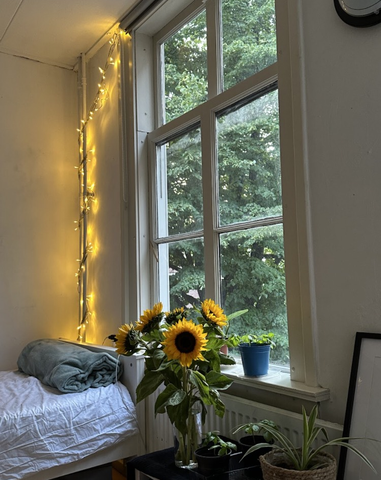 Te huur ruime kamer in het Centrum van Utrecht - Foto 3