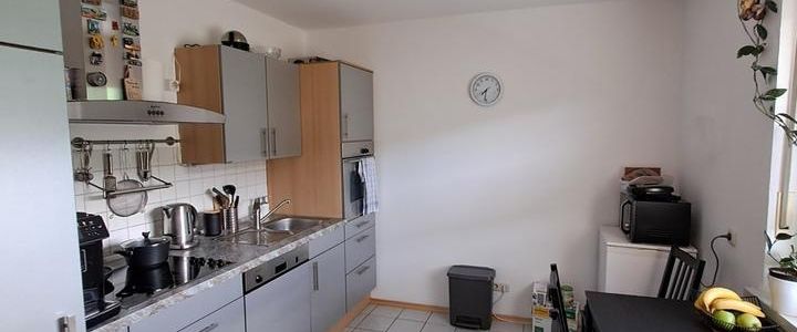 TRIER SÜD lichtdurchflutete Wohnung in ruhiger Lage zu vermieten - Photo 1
