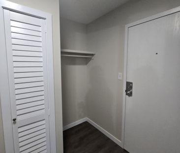 Beautiful Modern One Bedroom Available Now - Photo 5