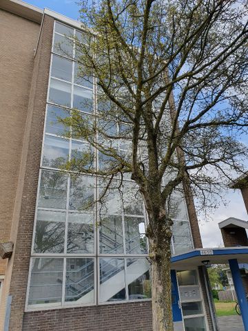 74, Antillenstraat, 2315 XP, Leiden - Photo 5