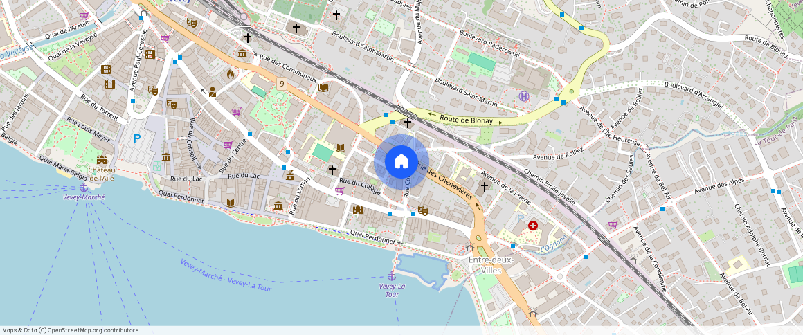 Rue des Chenevières **, 1800, Vevey