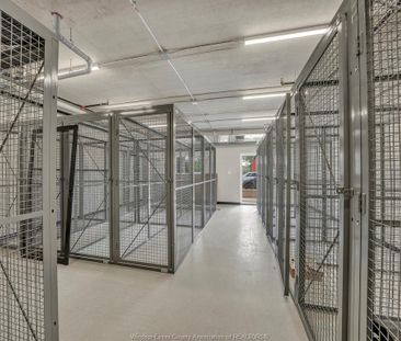 For Lease - 11646 TECUMSEH Road Unit# 410, Tecumseh, Ontario - Photo 2