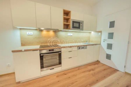 Pronájem moderního 1+kk s terasou po kompletní rekonstrukci Buštěhrad - Photo 3