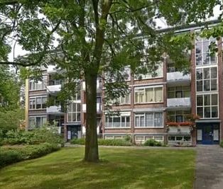 Appartement au rez-de-chaussée Ruimzicht 248, La Haye - À louer - Foto 3