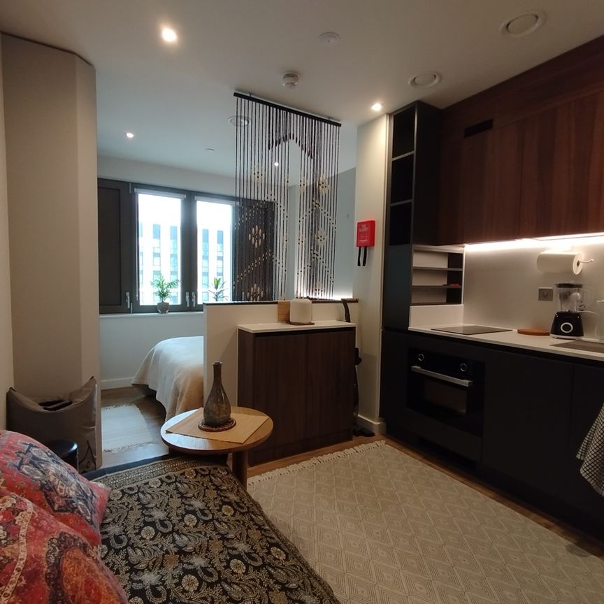 Studio Flat, Enclave Acton, W3 - Photo 1