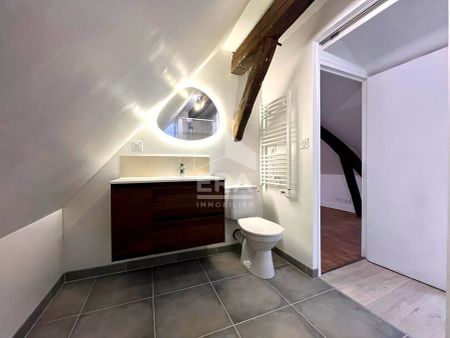 APPART T2 A LOUER - BLOIS - RENOVE, PROCHE CENTRE-VILLE ET TOUTES COMMODITE - Photo 2