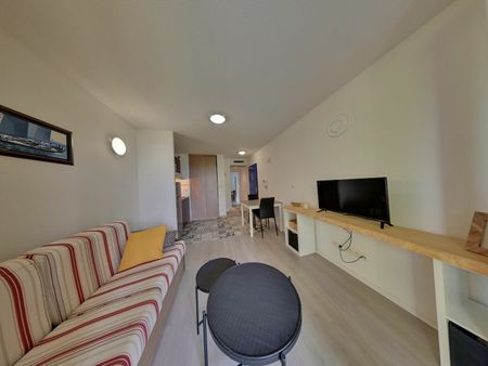 Est de PAU, Haut d'IDRON Appartement récent 2 p Meublé avec Terrasse et Parking privé couvert et sécurisé, - Photo 5