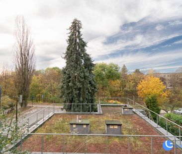 2pok|Grzegórzki|zwierzęta akcept|Bezczynszowe - Zdjęcie 5