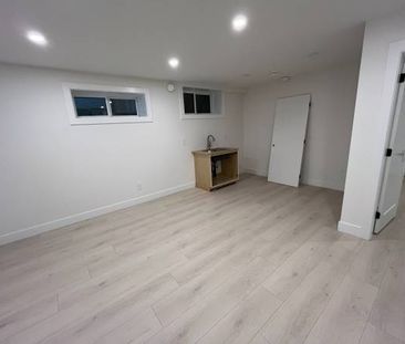 Brand New Spacious and bright 1 bedroom, 1-bathroom ground-level suite - Photo 2