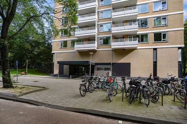 Appartement te huur: Staalmeesterslaan 217 1057 NT Amsterdam - Photo 1