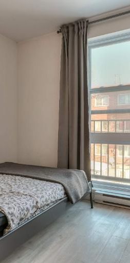 Studio - Montréal - $1,095 /mo - Photo 1
