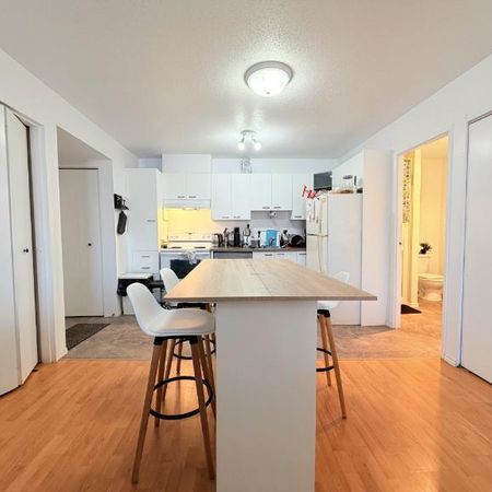 Appartement 3 ½ à louer Sainte-Foy / Sillery juillet 2026 - Photo 3