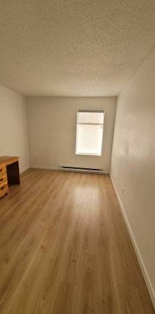 Renovated 1 Bed 1 Bath Pet Friendly - Photo 1