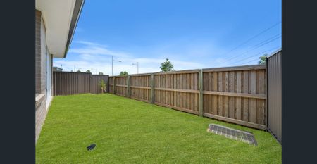 Brand New 4 bedroom with dedicated study. - Photo 3