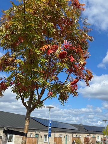 Poppelvägen 26 B, Brösarp - Foto 3