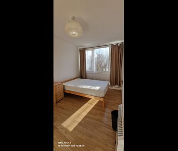 Room in a Shared Flat, Sherfield Gardens, SW15 - Photo 6