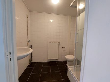 Te huur: Appartement Halsterseweg 13 B in Halsteren - Foto 4