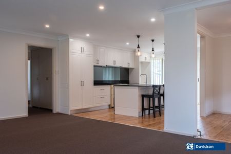 Immaculate 4-Bedroom Home with Premium Kitchen & Large Backyard - Photo 4