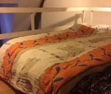 Kamer, studio, appartement - Foto 3