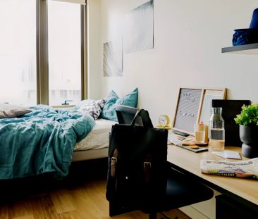 7 Bedroom Apartment - Photo 1