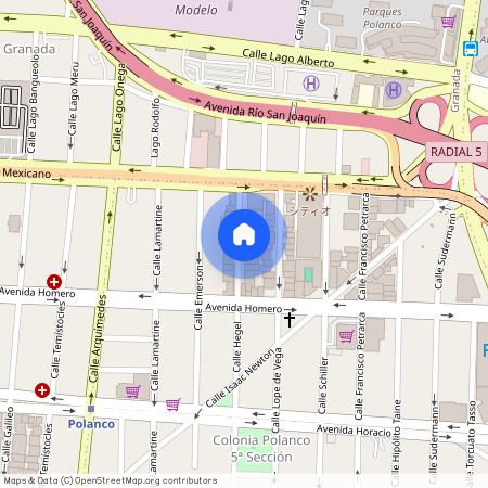 Calle Hegel, Polanco 5ª Sección, Polanco, Ciudad de México, Miguel Hidalgo, Ciudad de México, 11560, México