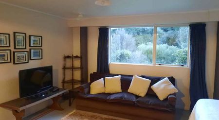 For Rent - Studio Apartment - Raurimu - Photo 5