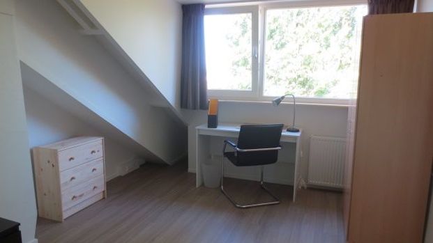 Gestelsestraat - Photo 1