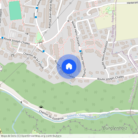 1700, Fribourg, Route Joseph-Chaley, 39