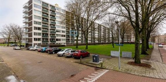 Ierlandstraat 2034 LR Haarlem - Foto 2