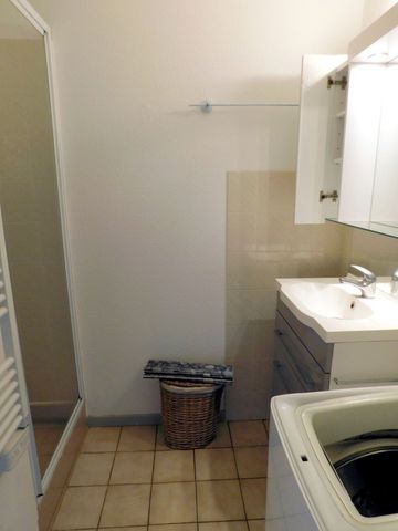 A louer T1 bis avec terrasse couverte - Photo 5