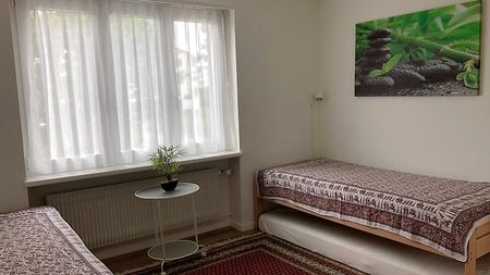 3 Zimmer-Wohnung in Rapperswil (SG), möbliert, auf Zeit - Foto 3