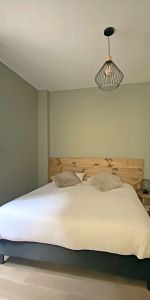 Location Appartement 2 pièces 42m² SELESTAT 67600 - Photo 3