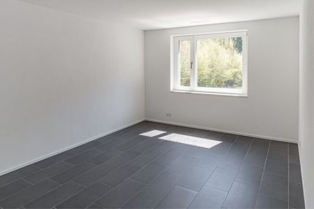 For nature lovers and city dwellers *NO DEPOSIT RENT* - Photo 5