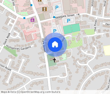 Back Park Place - Photo 1